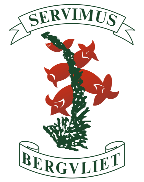 Bergvliet Primary School logo